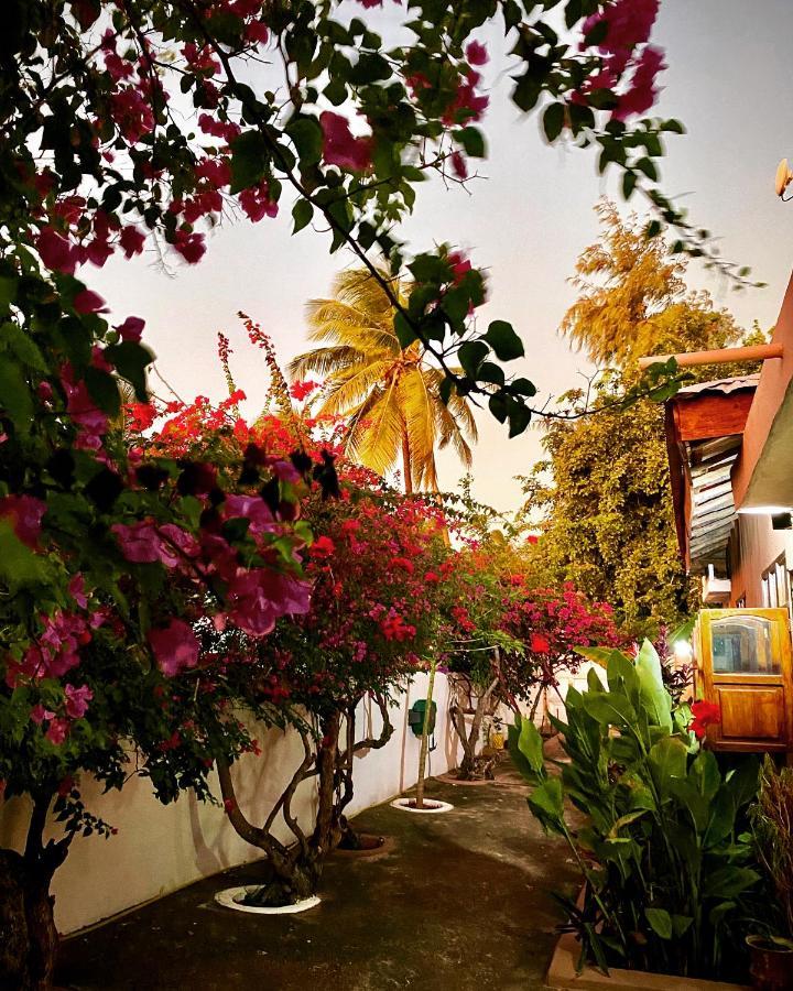 Villa Orchid Beach Guest House Bwejuu Exterior foto
